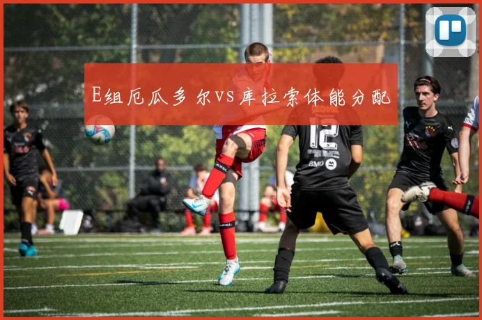 E组厄瓜多尔vs库拉索体能分配