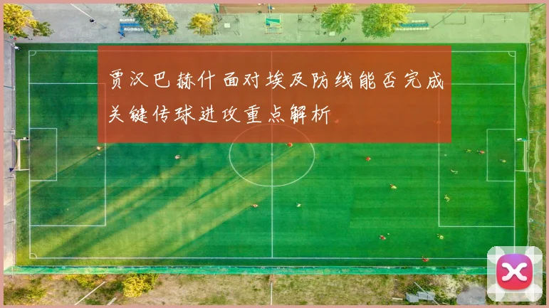 贾汉巴赫什面对埃及防线能否完成关键传球进攻重点解析