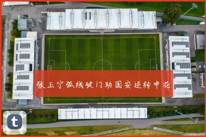 张玉宁弧线破门助国安逆转申花