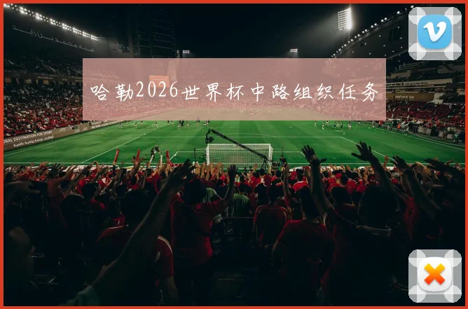 哈勒2026世界杯中路组织任务