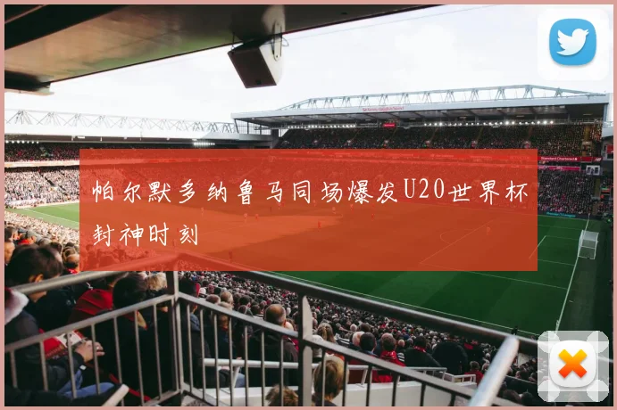 帕尔默多纳鲁马同场爆发U20世界杯封神时刻