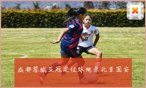 成都蓉城亚冠定位球绝杀北京国安