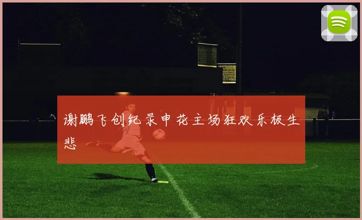 谢鹏飞创纪录申花主场狂欢乐极生悲