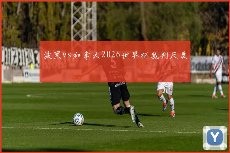 波黑vs加拿大2026世界杯裁判尺度